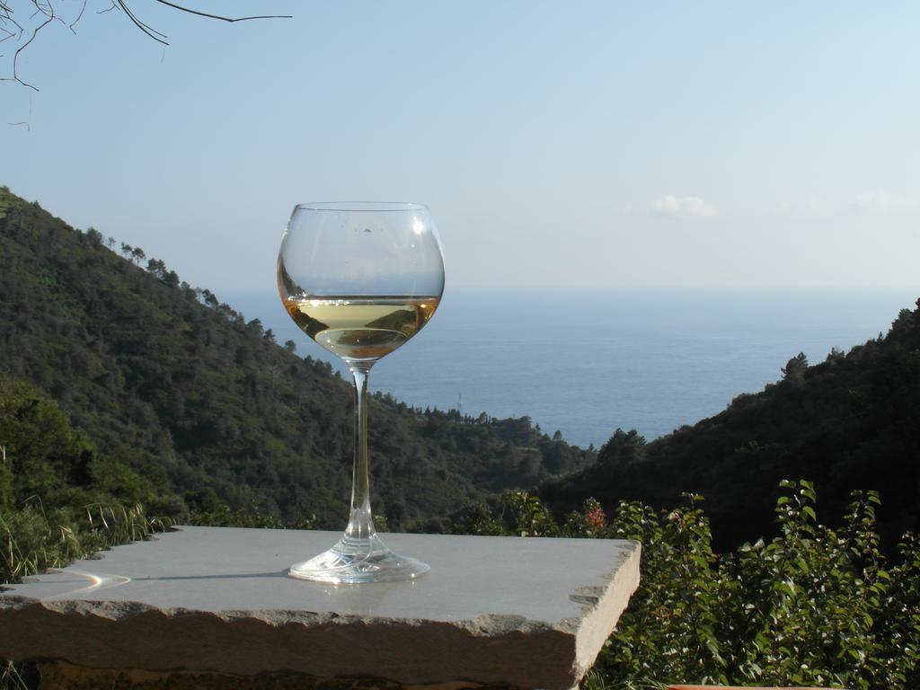 Agriturismo Costa Di Campo 베르나차 외부 사진