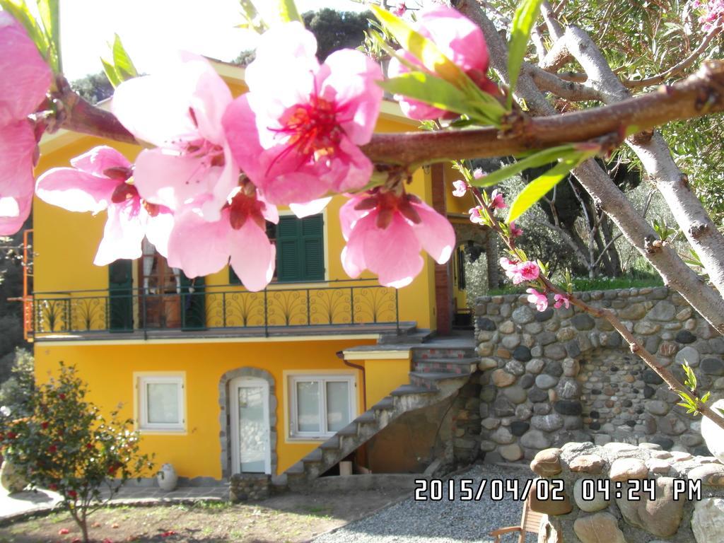 Agriturismo Costa Di Campo 베르나차 외부 사진