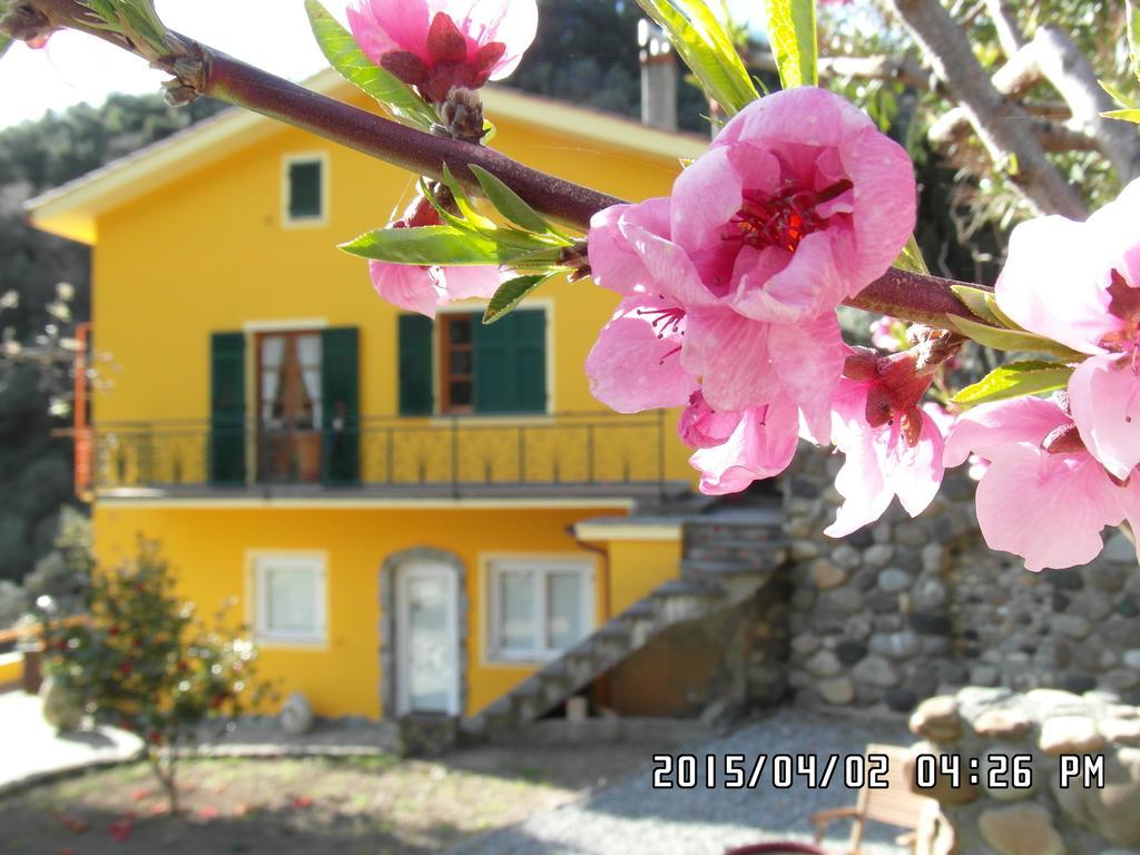 Agriturismo Costa Di Campo 베르나차 외부 사진