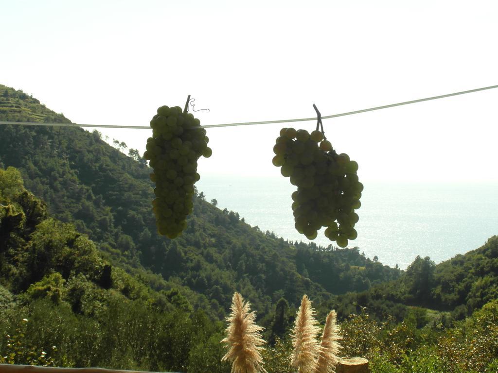 Agriturismo Costa Di Campo 베르나차 외부 사진