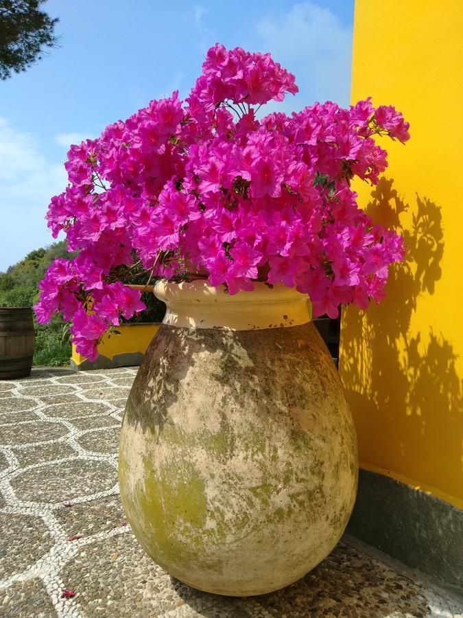 Agriturismo Costa Di Campo 베르나차 외부 사진