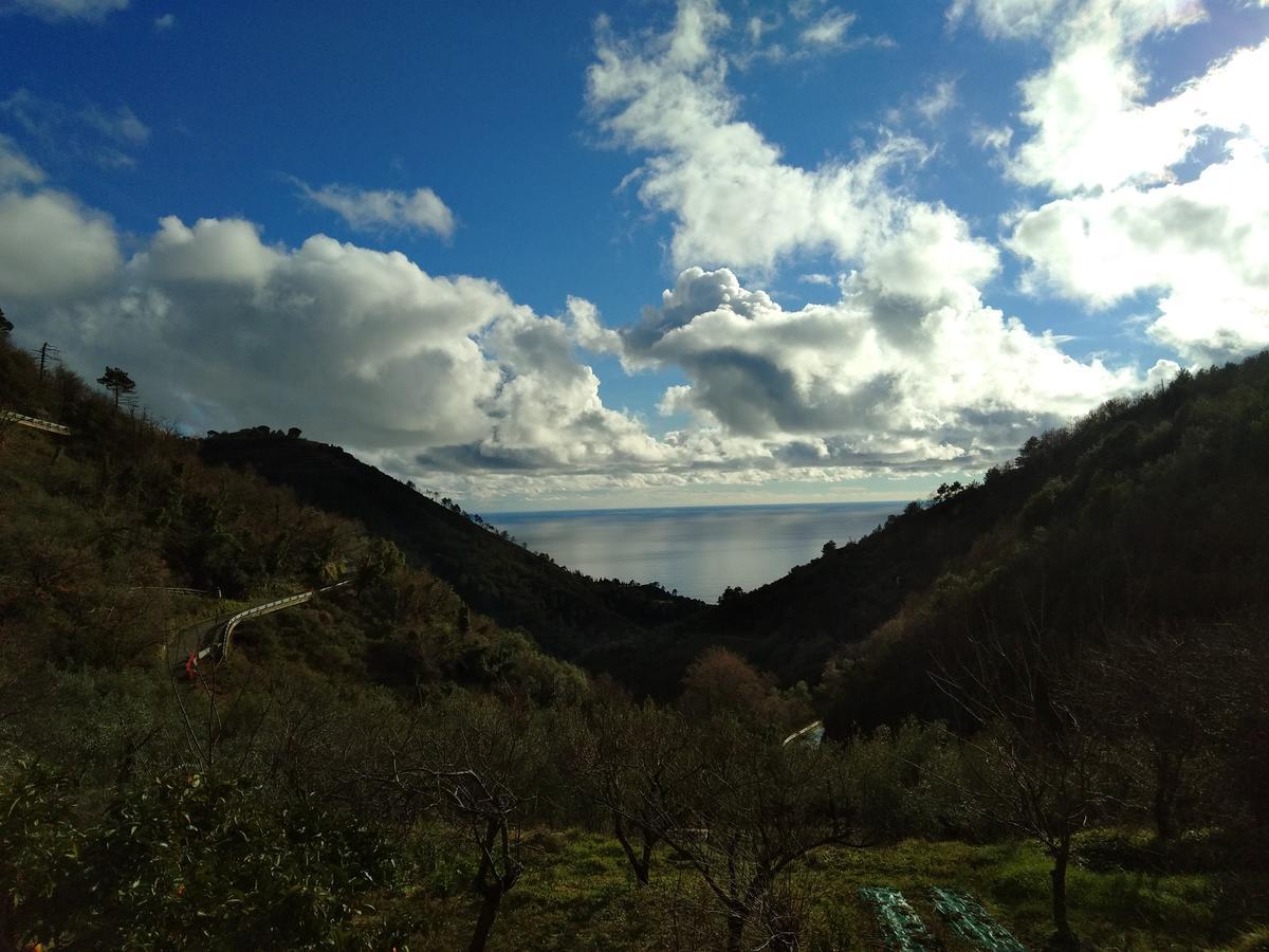 Agriturismo Costa Di Campo 베르나차 외부 사진